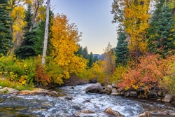 20231109_Fall_Astro-1
